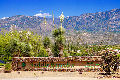 Saddlebrooke AZ, Arizona